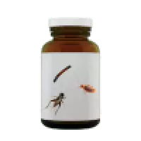 Kvalitní chovatelské substráty pro bezobratlé 