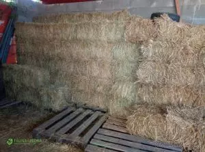 Malé hranaté balíky sena