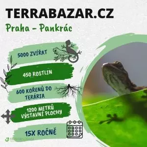 TERRABAZAR 26.9.2026 - Výstavní a prodejní burza exotických zvířat, rostlin a chovatelských potřeb