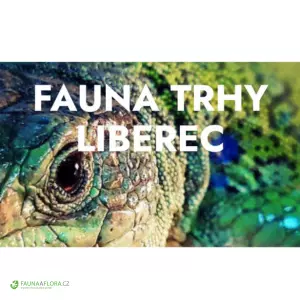 FAUNA TRHY Liberec 26.4.2025