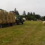 Seno, sláma, velké kulaté balíky, malé hranaté balíky