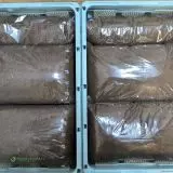 Bílá rašelina, korková kůra