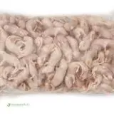 Nabízím mražené MYŠI ,MASTOMYŠI, POTKANY