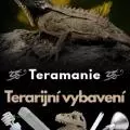 Teramanie - avatar